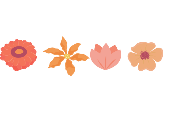 Download Flower Beautiful Collection Design - Beautiful collection Collection