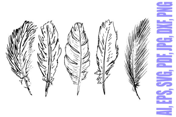 Download Five Hand Drawn Feathers Illustrations - Drawn Collection