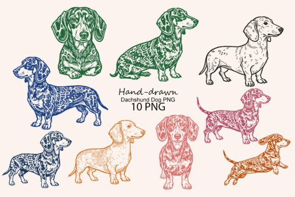 Download Hand-drawn Dachshund Dog PNG - Drawn Collection