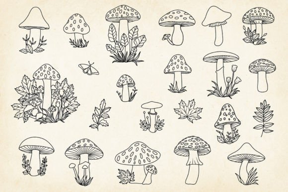 Download Hand-drawn Mushrooms Minimalist Art Set - Drawn Collection