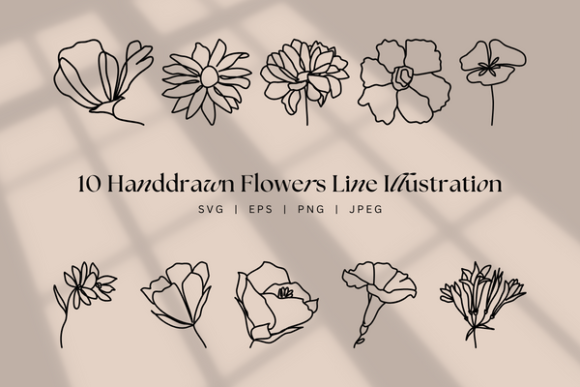 Download Handdrawn Flower Line Art, Floral Boho - Drawn Collection