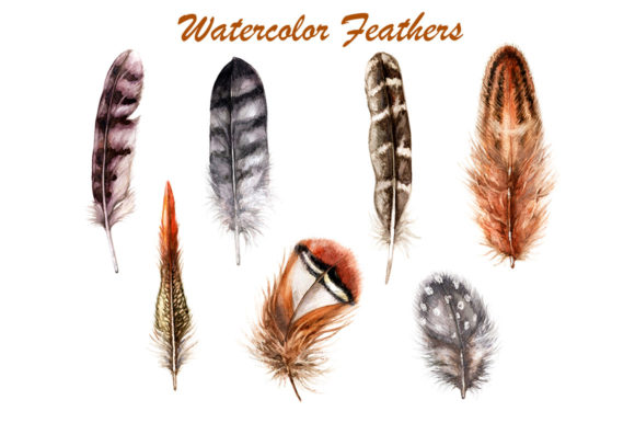 Download Hand Drawn Feathers - Drawn Collection
